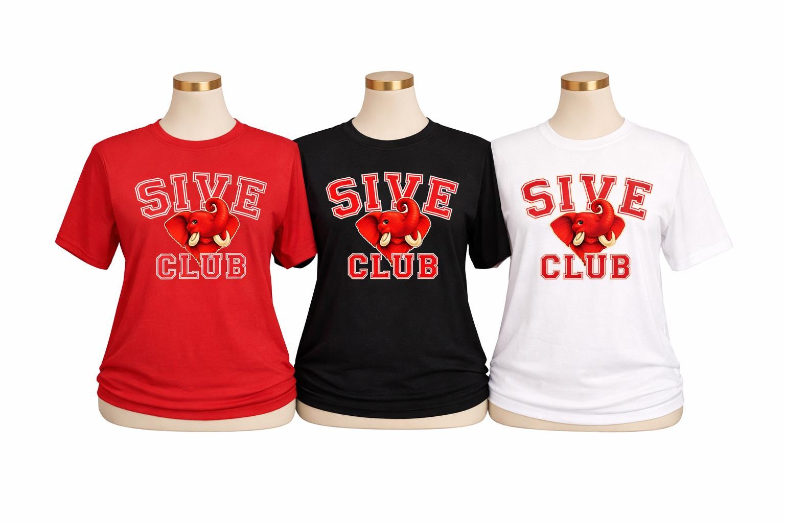 Delta Line Number Shirt, DST  T-Shirt, Delta Woman Club Shirt, Sorority Gift for Her, Red and White Greek Paraphernalia, Crossing Gift