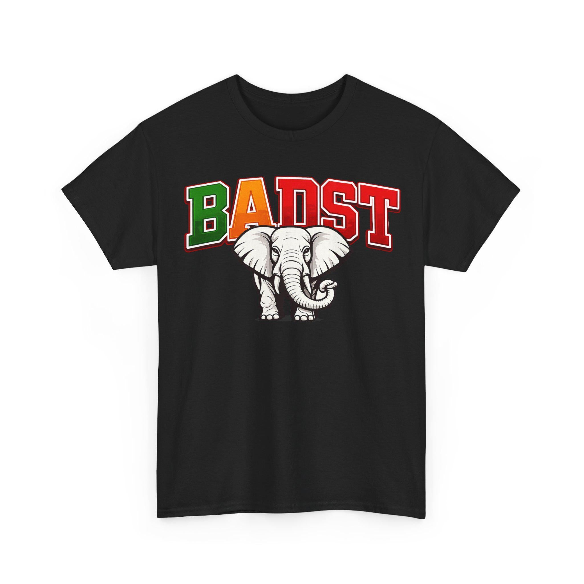 Delta Woman BADST Shirt HBCU Pride T-Shirt FAMU Apparel Black College Girl Outfit Sorority Style Tee Gift for College Student