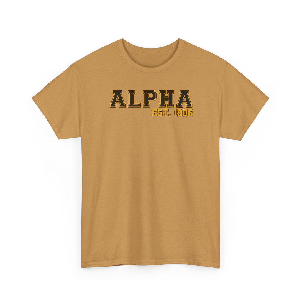 Alpha Black and Old Gold Shirt, ICE Cold '06 Graphic Shirt Black Greek Life Apparel College Fraternity Style