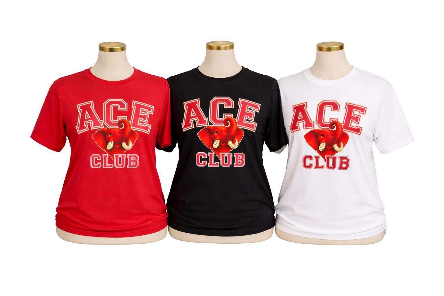 Delta Line Number Shirt, DST  T-Shirt, Delta Woman Club Shirt, Sorority Gift for Her, Red and White Greek Paraphernalia, Crossing Gift