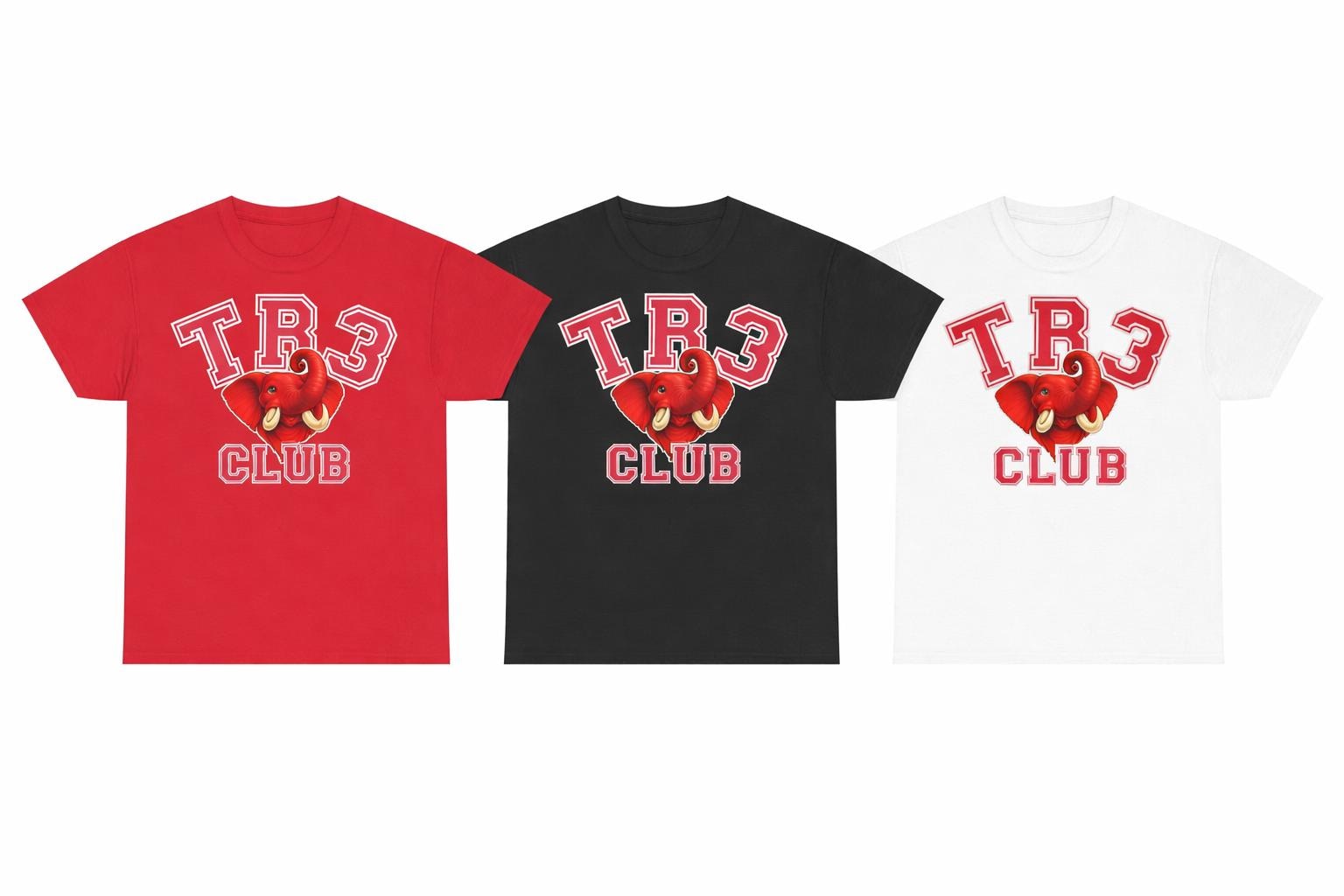 Delta Line Number Shirt, DST  T-Shirt, Delta Woman Club Shirt, Sorority Gift for Her, Red and White Greek Paraphernalia, Crossing Gift