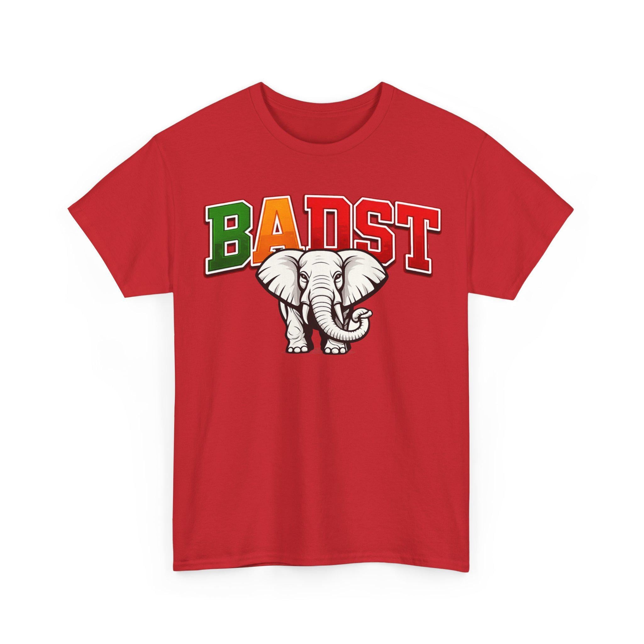 Delta Woman BADST Shirt HBCU Pride T-Shirt FAMU Apparel Black College Girl Outfit Sorority Style Tee Gift for College Student