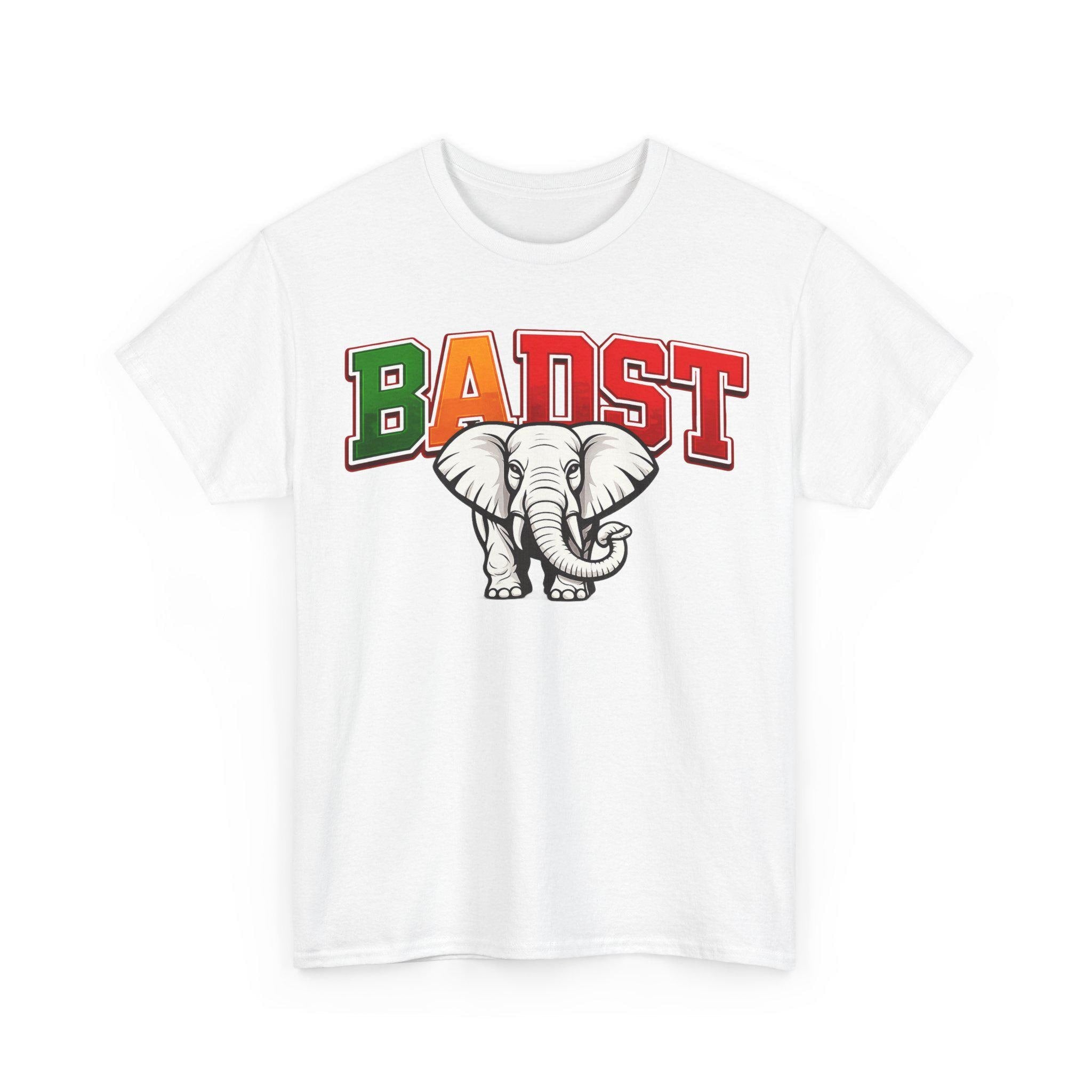 Delta Woman BADST Shirt HBCU Pride T-Shirt FAMU Apparel Black College Girl Outfit Sorority Style Tee Gift for College Student