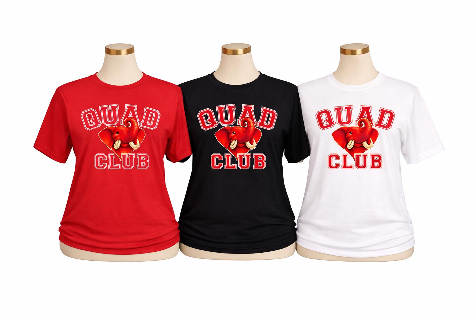 Delta Line Number Shirt, DST  T-Shirt, Delta Woman Club Shirt, Sorority Gift for Her, Red and White Greek Paraphernalia, Crossing Gift